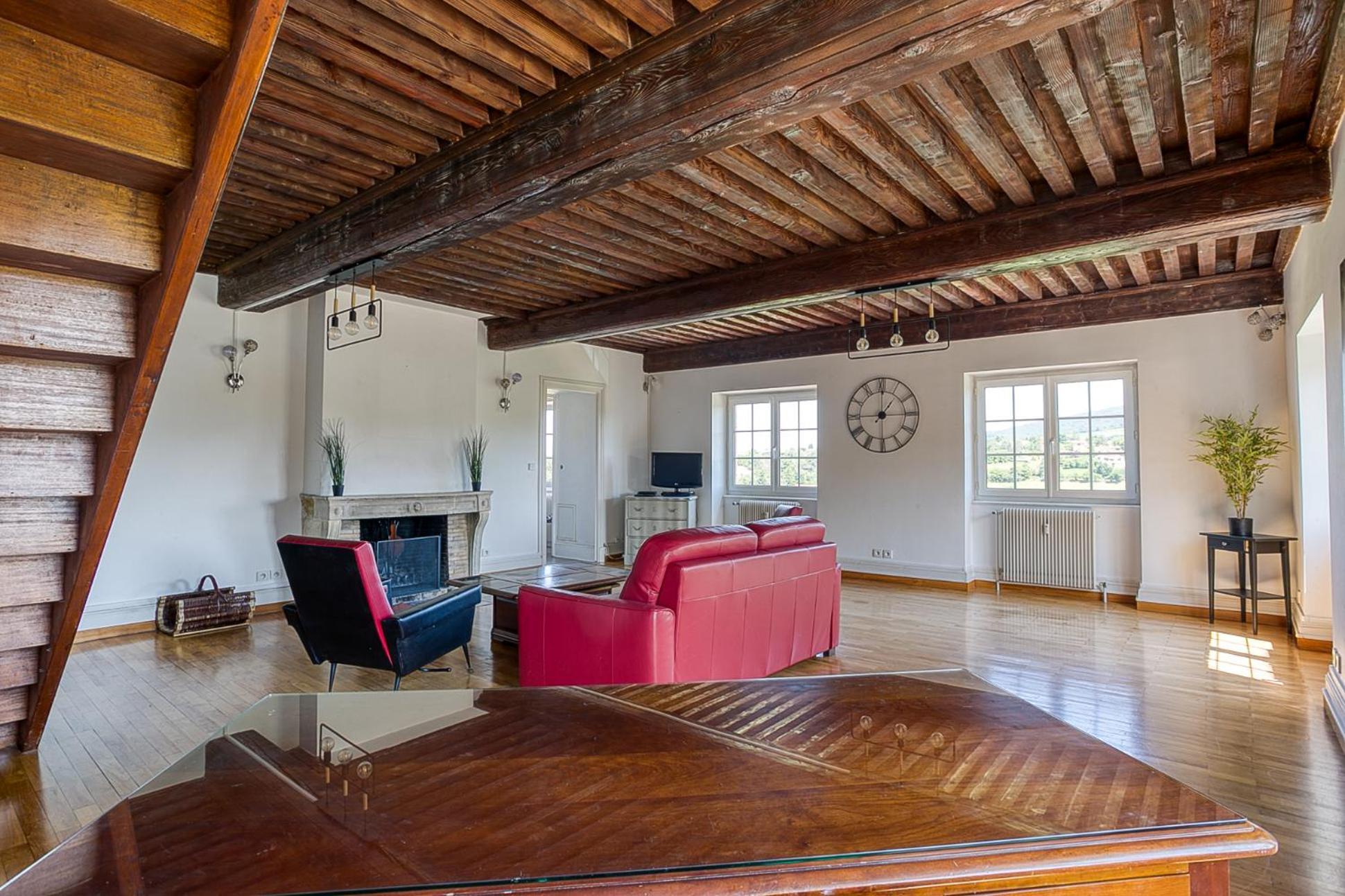 Sejourner Au Chateau De La Roue Grand Appartement Lissieu Екстер'єр фото