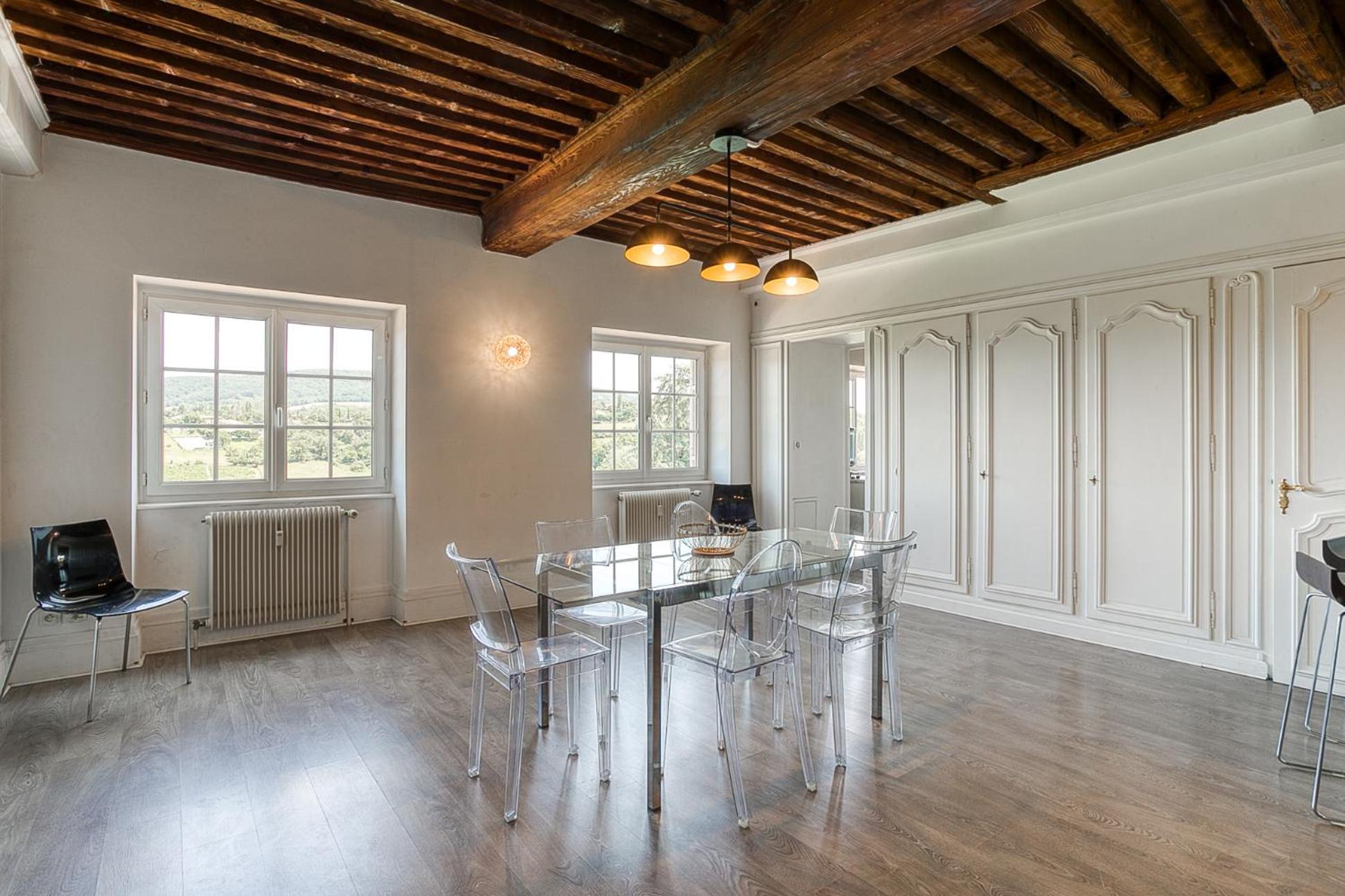 Sejourner Au Chateau De La Roue Grand Appartement Lissieu Екстер'єр фото