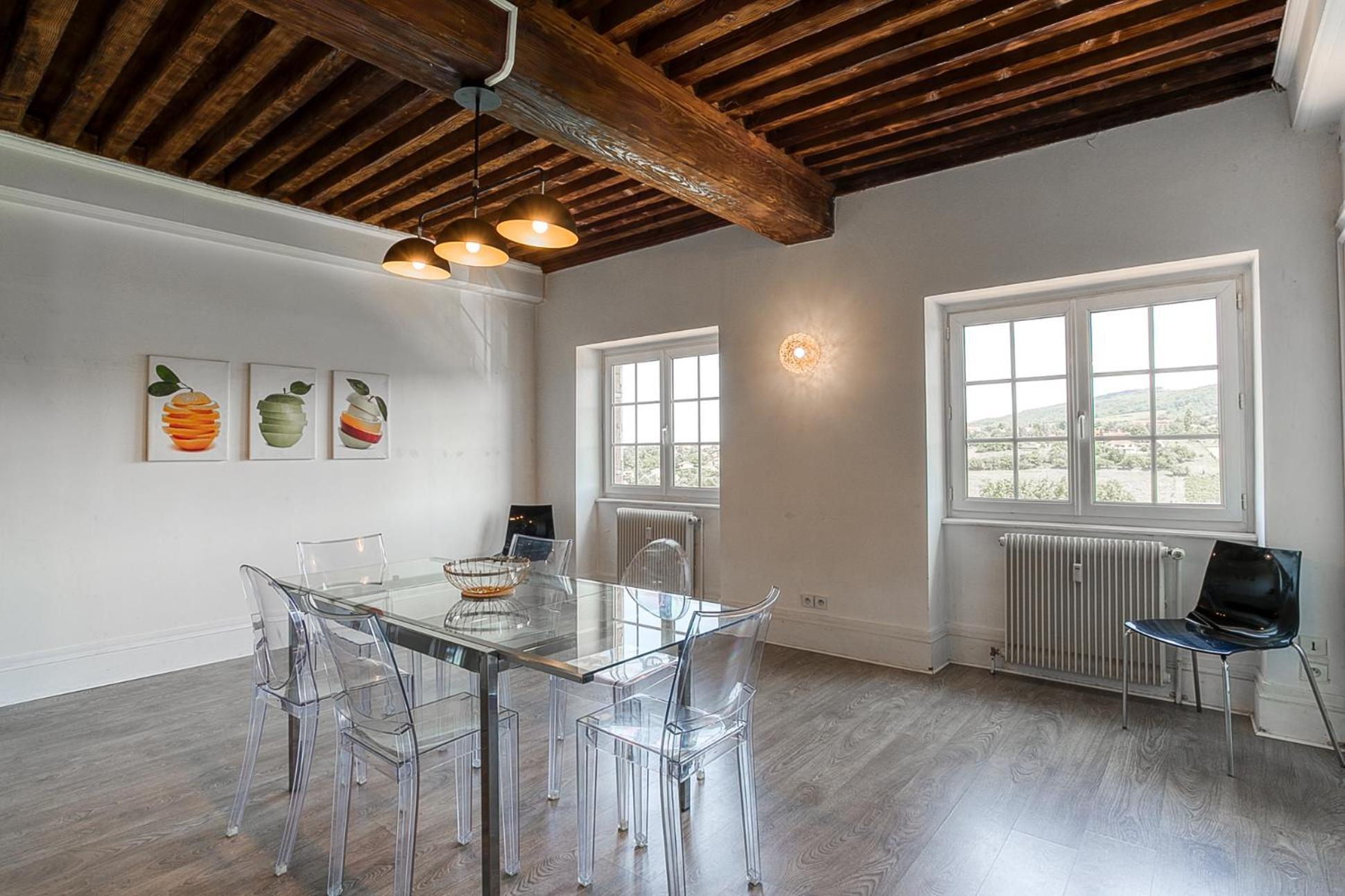 Sejourner Au Chateau De La Roue Grand Appartement Lissieu Екстер'єр фото
