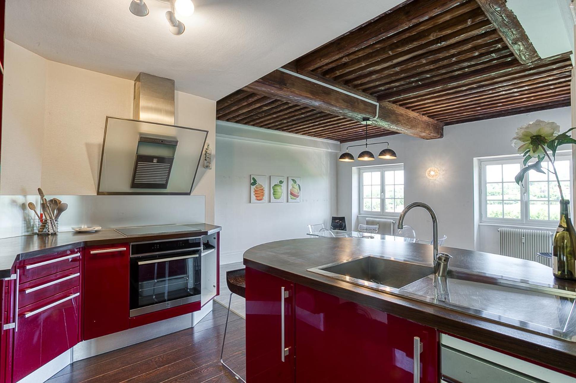 Sejourner Au Chateau De La Roue Grand Appartement Lissieu Екстер'єр фото