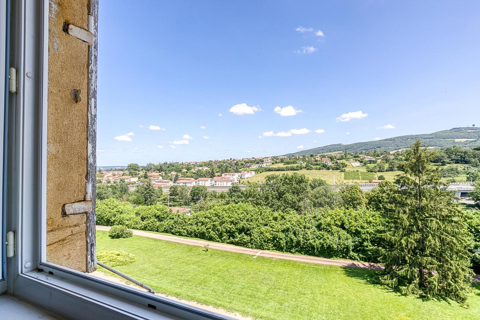 Sejourner Au Chateau De La Roue Grand Appartement Lissieu Екстер'єр фото