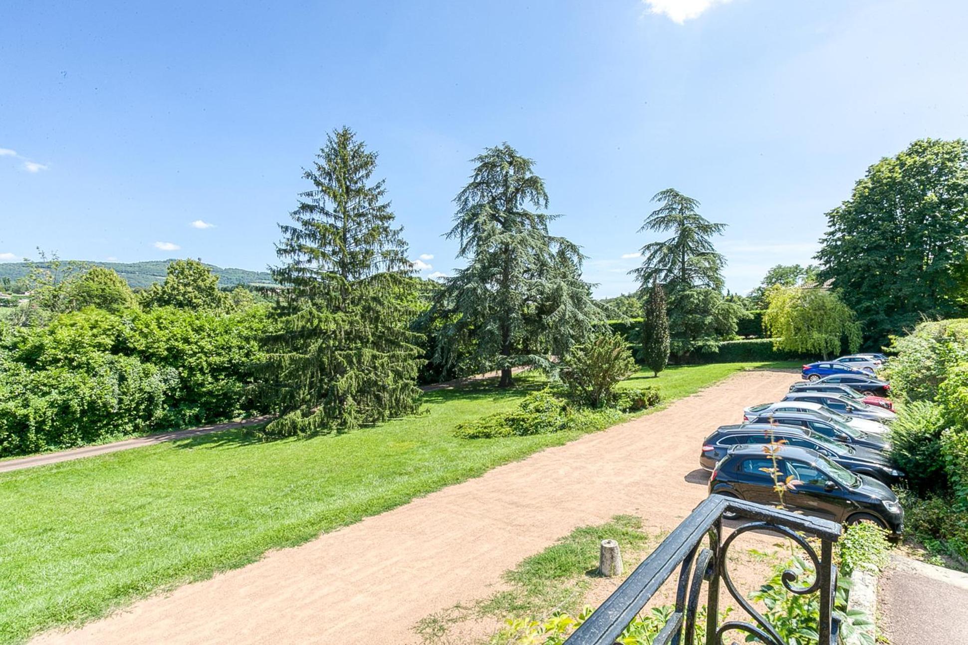 Sejourner Au Chateau De La Roue Grand Appartement Lissieu Екстер'єр фото