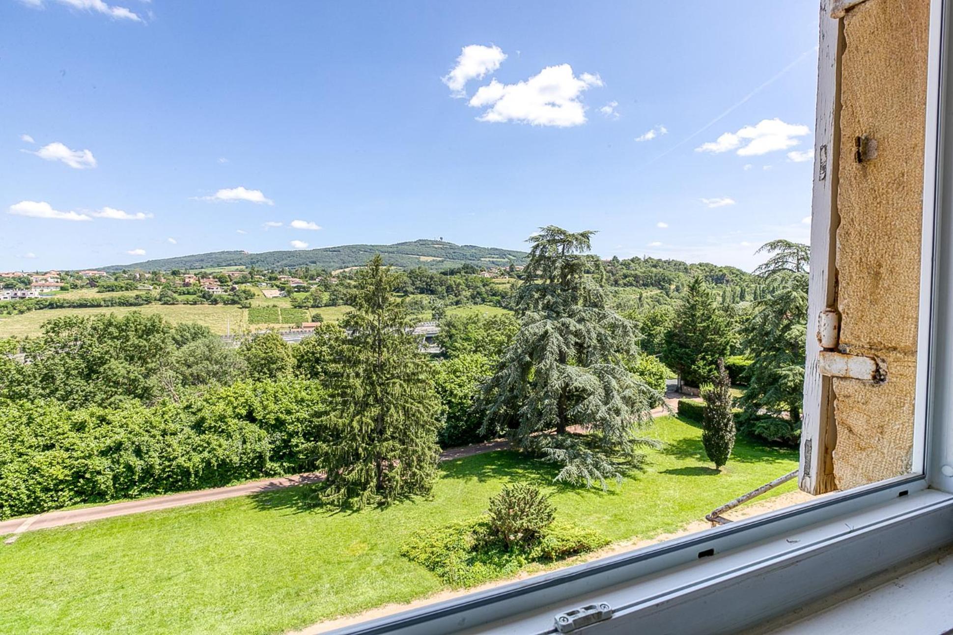 Sejourner Au Chateau De La Roue Grand Appartement Lissieu Екстер'єр фото