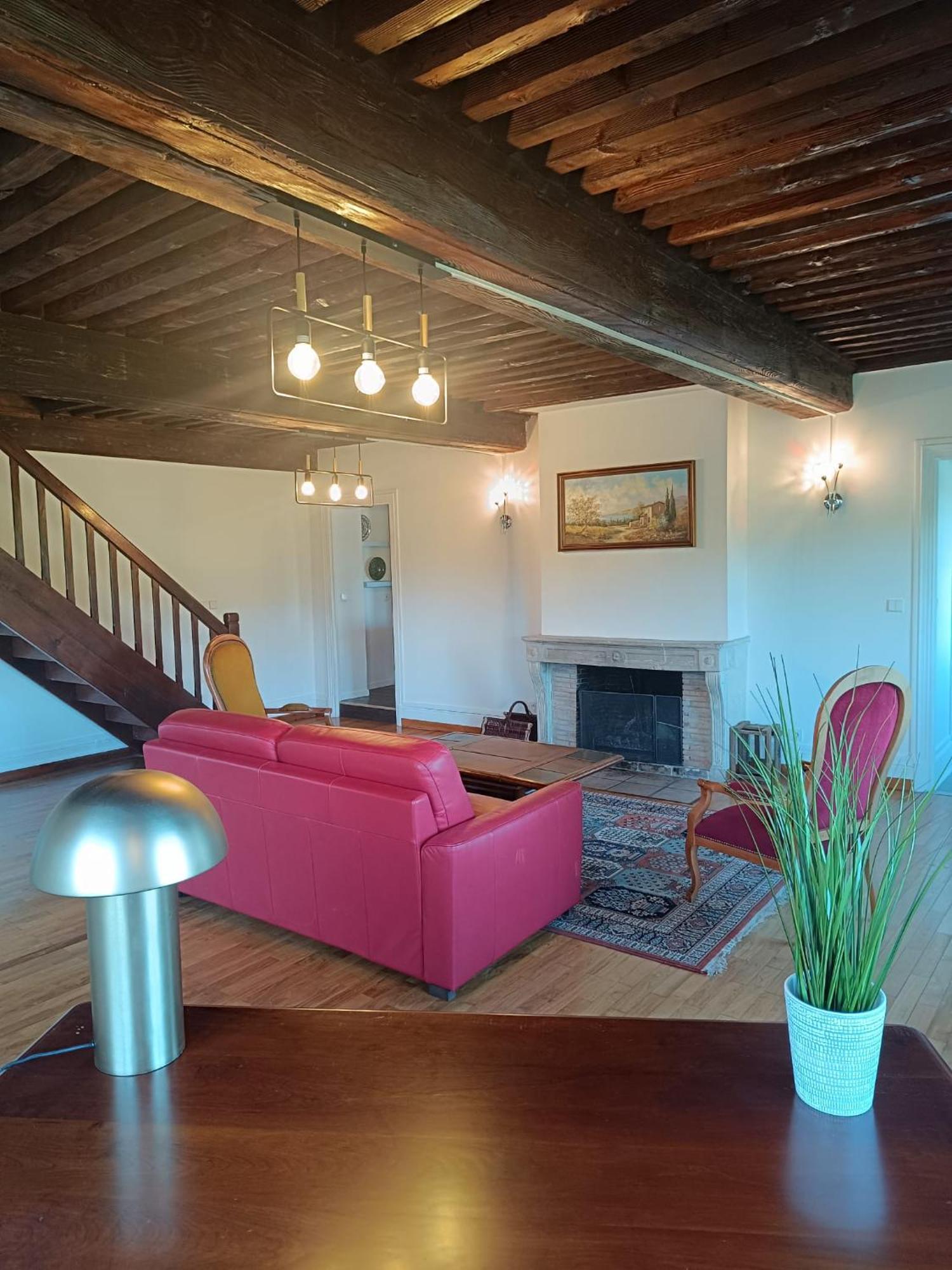 Sejourner Au Chateau De La Roue Grand Appartement Lissieu Екстер'єр фото